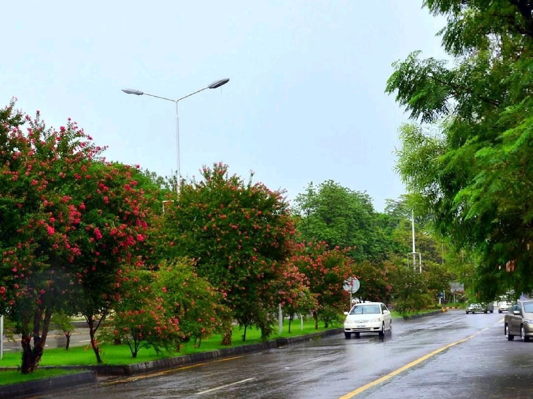 After Rain Picture of Road With Glorious View