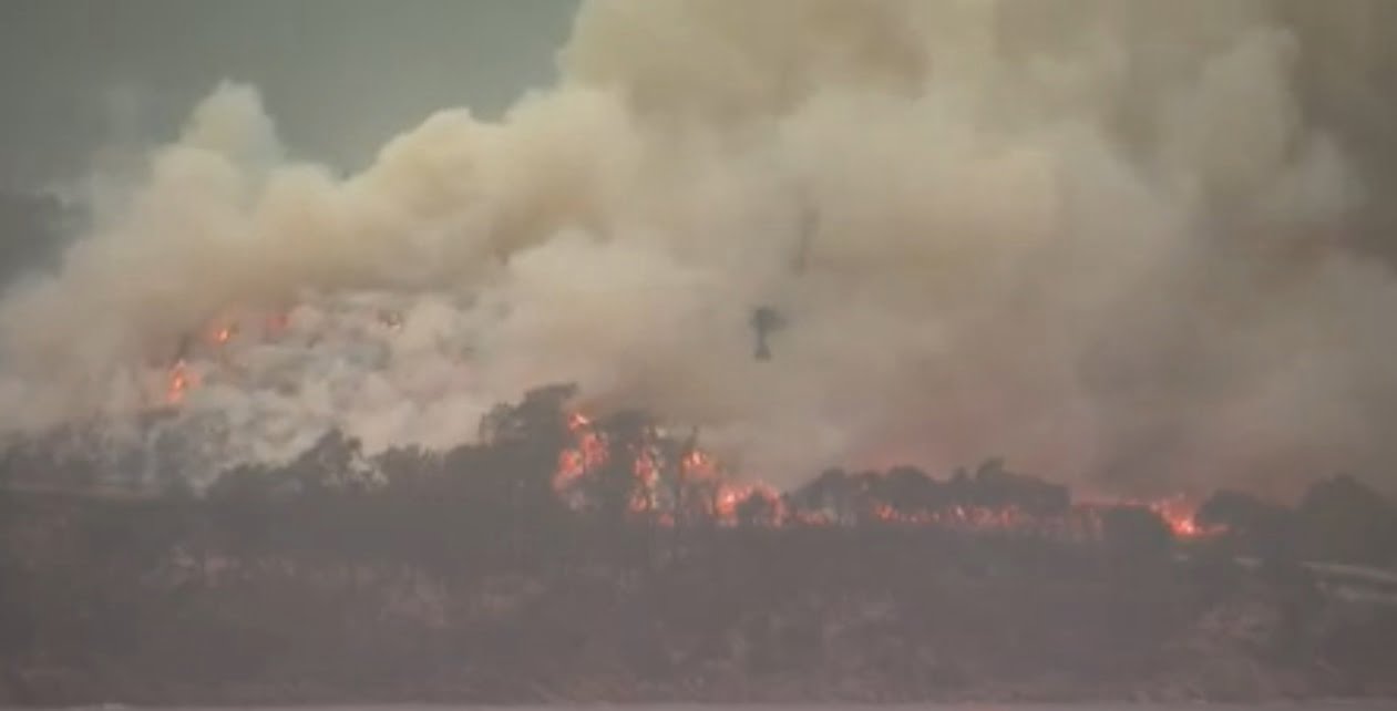 Bush fire in Australia
