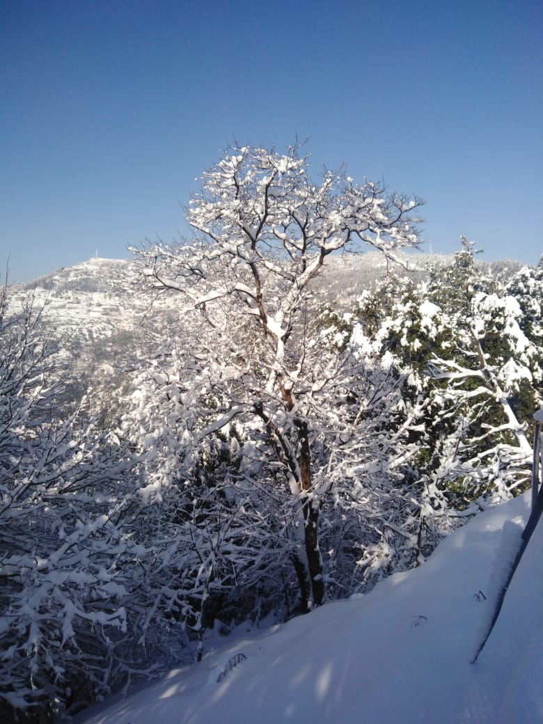 Snowfall in Lower Topa