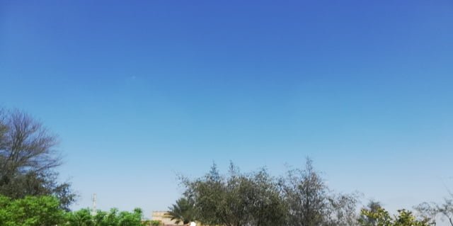 sky blue background