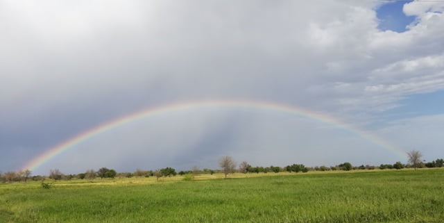 Pics of Rainbow