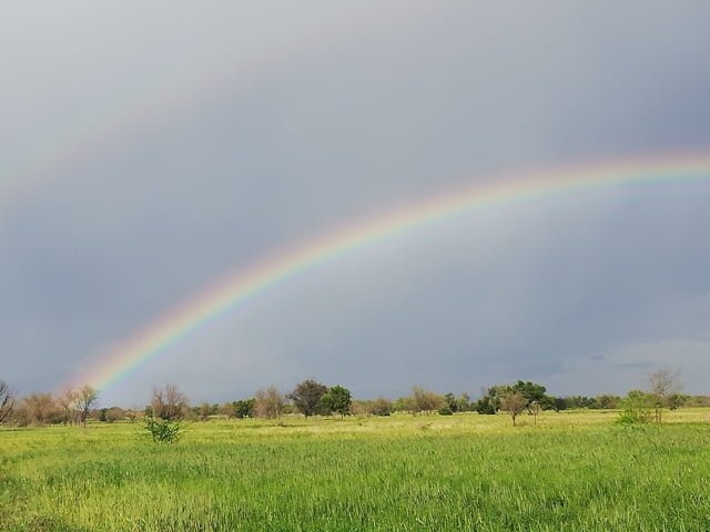 rainbow images