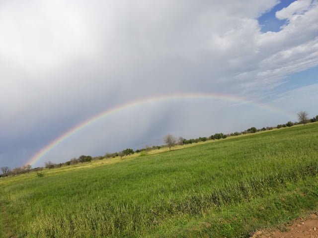rainbow pictures
