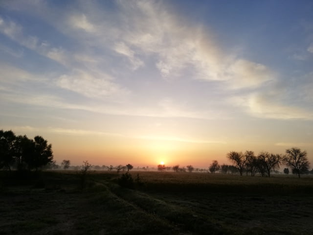 Beautiful Sunrise picture