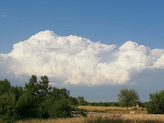 Images for Cumulus clouds