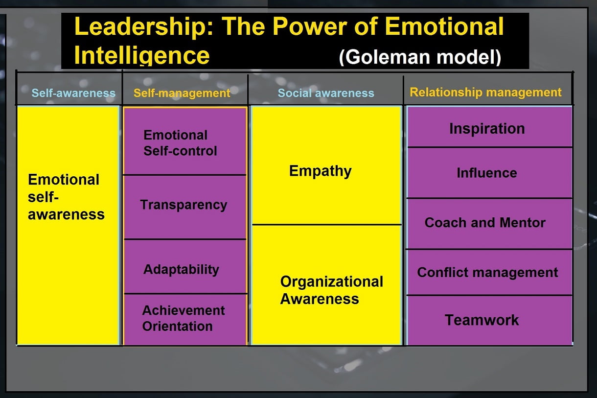 Leadership: The Power of Emotional Intelligence (Daniel Goleman)